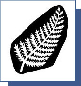 New Zealand Logo